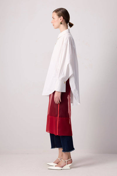 Sheer Organza Overlay Skirt