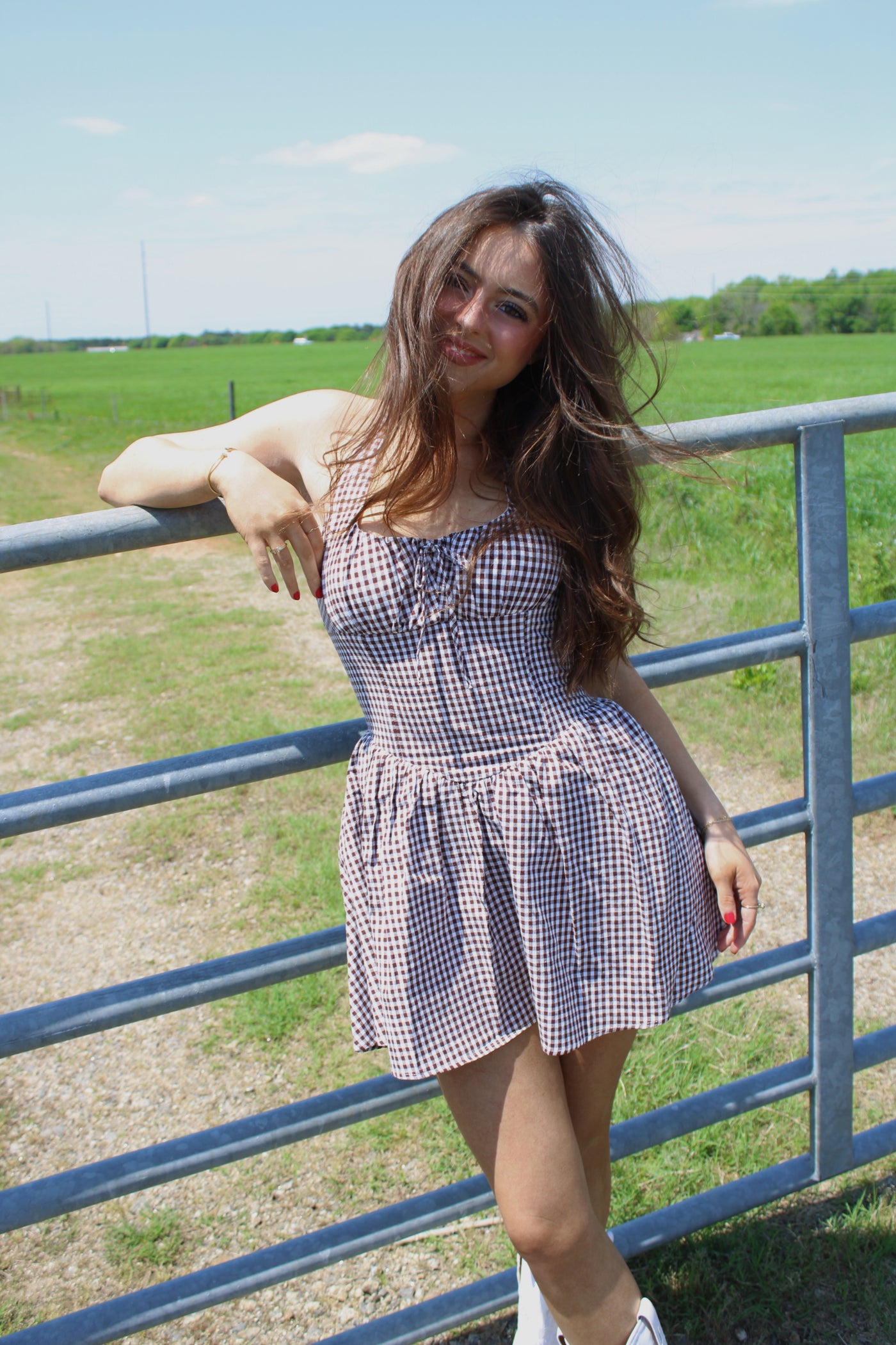 Lora Brown Gingham Linen Mini Dress