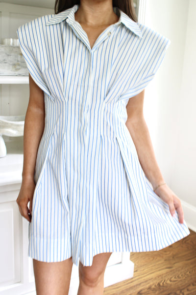 Taylor Striped Mini Dress