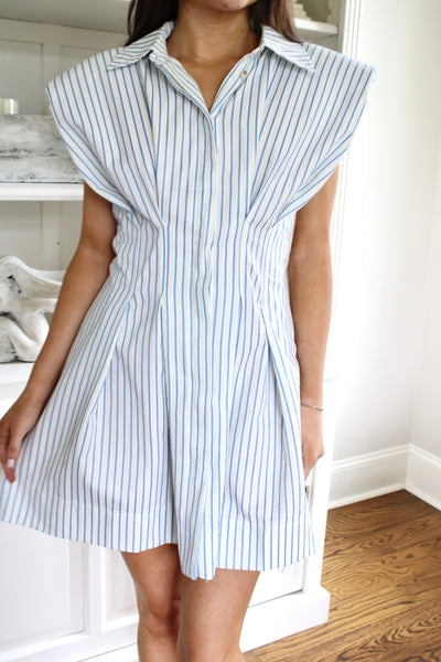Taylor Striped Mini Dress