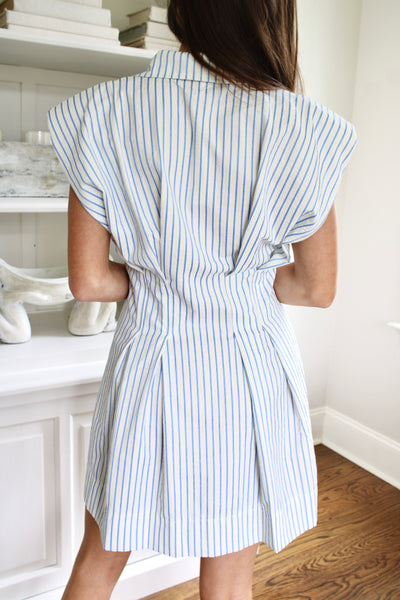 Taylor Striped Mini Dress